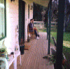 rach&me.gif (264483 bytes)